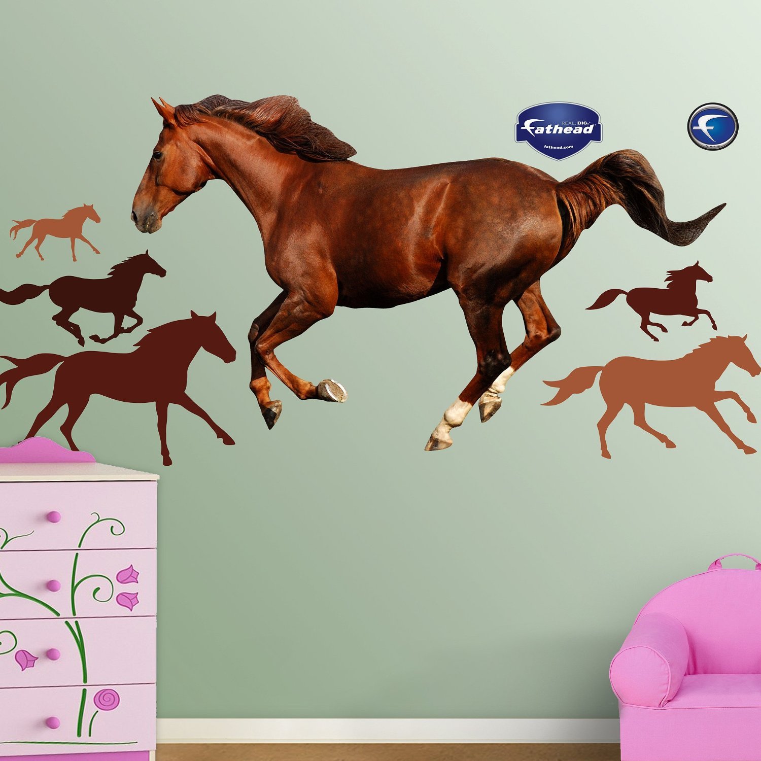 Horse Wall Decal Cool Stuff to Buy and Collect